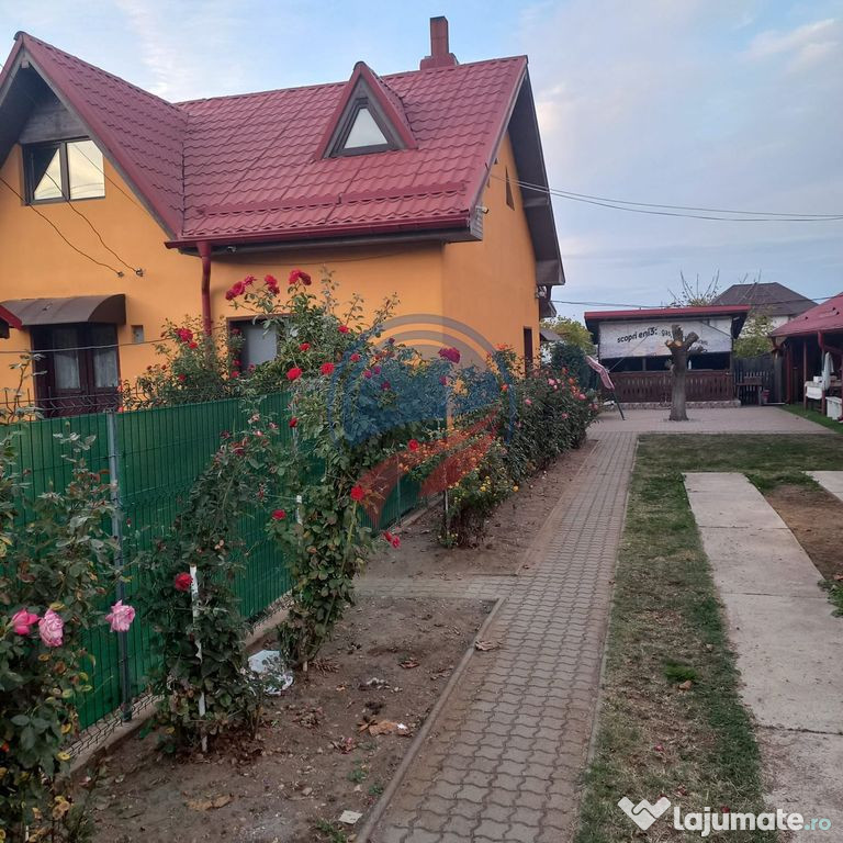 Casa in localitatea Zanoaga- Dolj