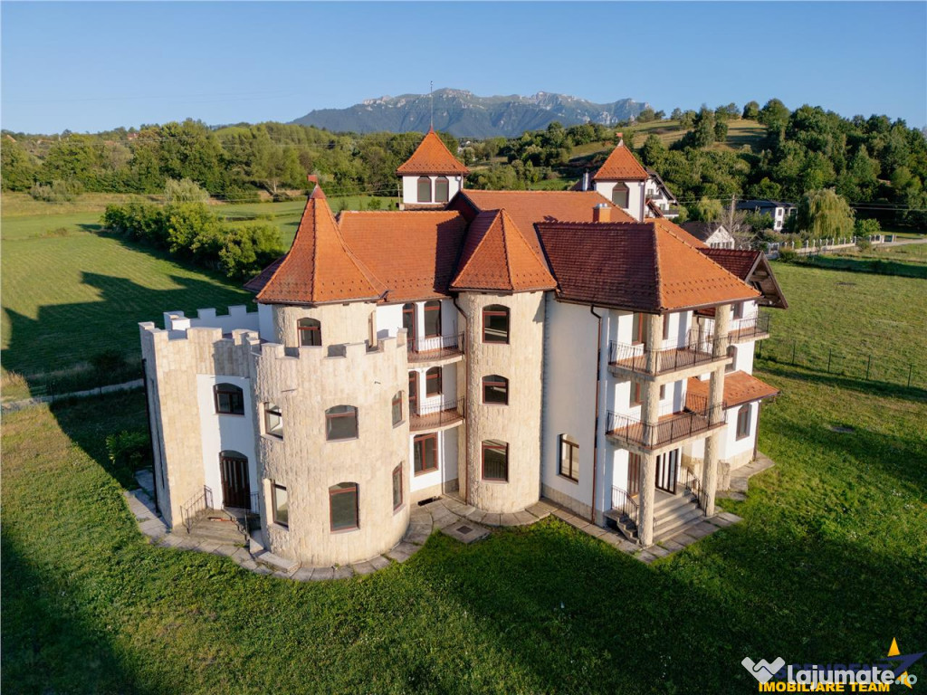 Domeniu de 6.000 mp cu Resedinta stil feudal, favorabil area