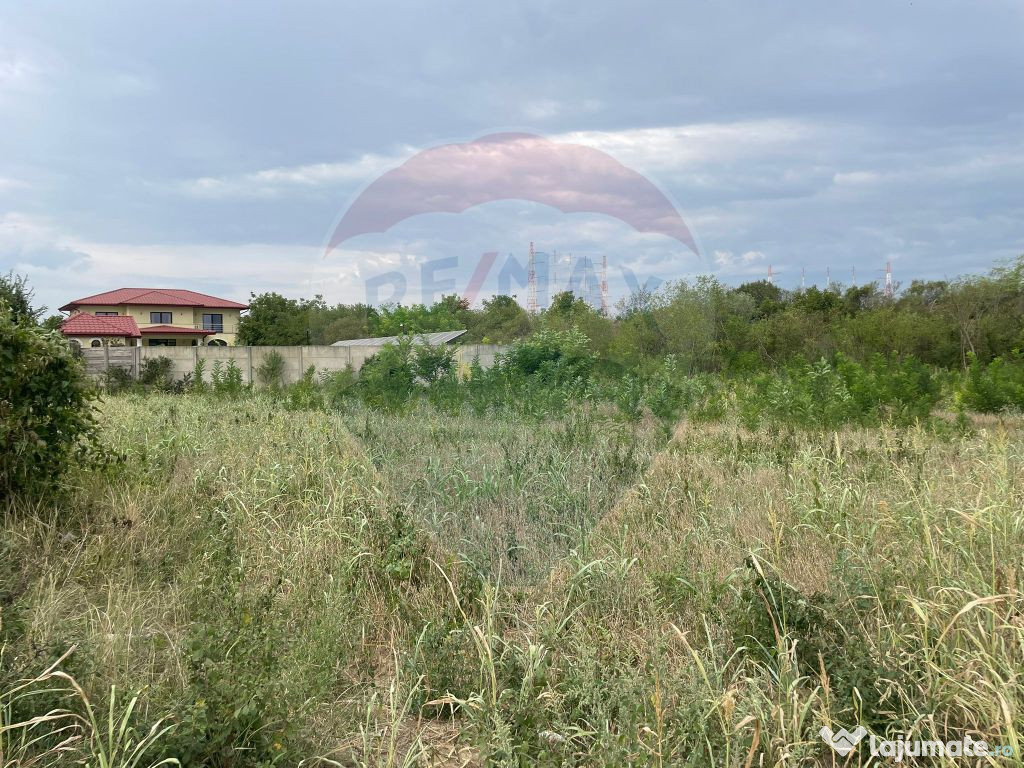 Teren intravilan 1,610mp Ciolpani / Strada Catunului, lan...