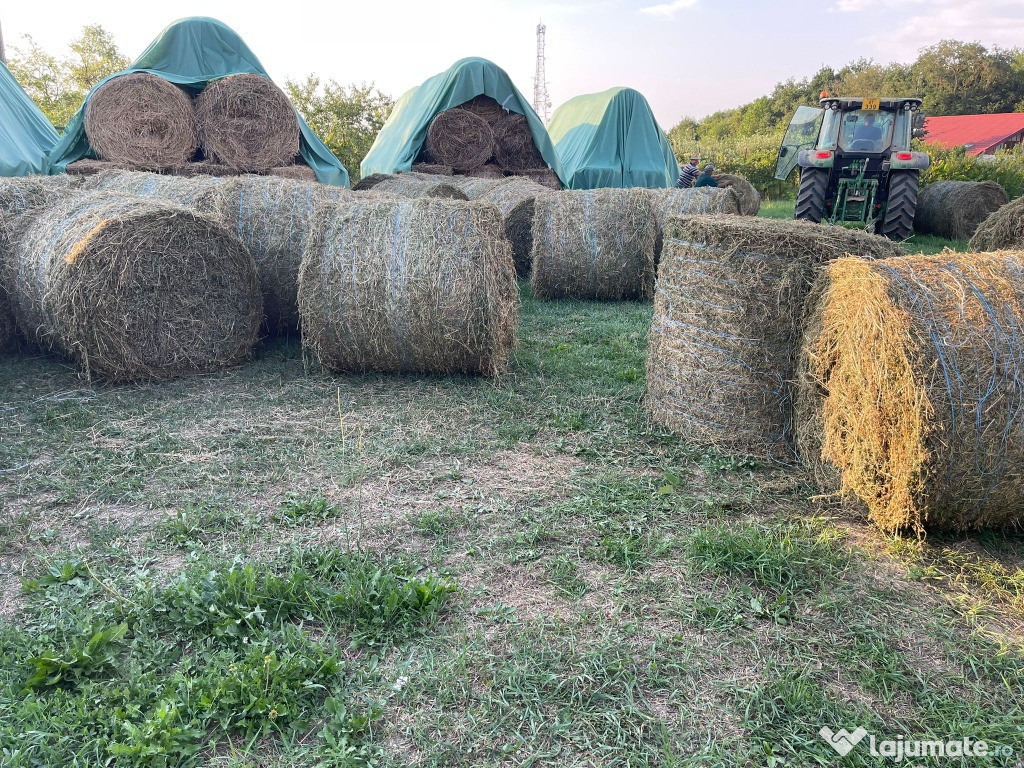 Baloti din lucerna de calitate din agricultura ecologica