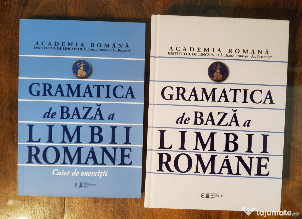 Gramatica de baza a limbii romane + caiet de exercitii