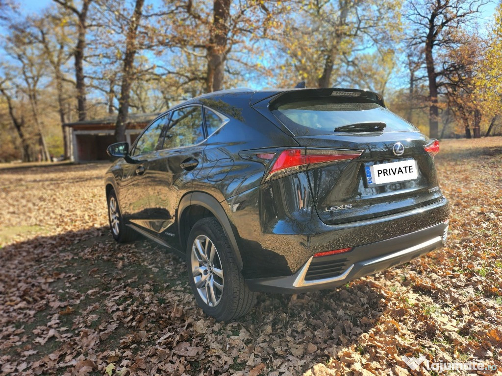 Lexus Seria-NX 300h Hybrid Executive