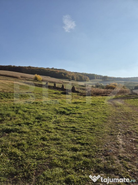 Teren intravilan de vanzare in Bardesti