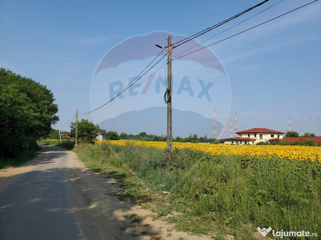 Teren 1,095mp Ciolpani / Strada Catunului