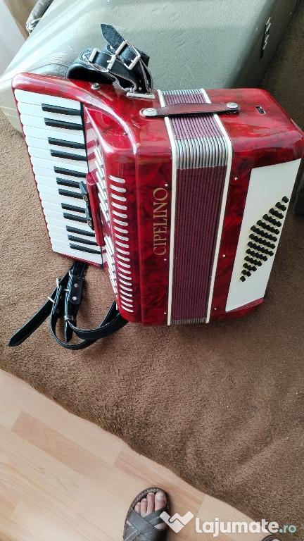 Acordeon 48 basi Friola