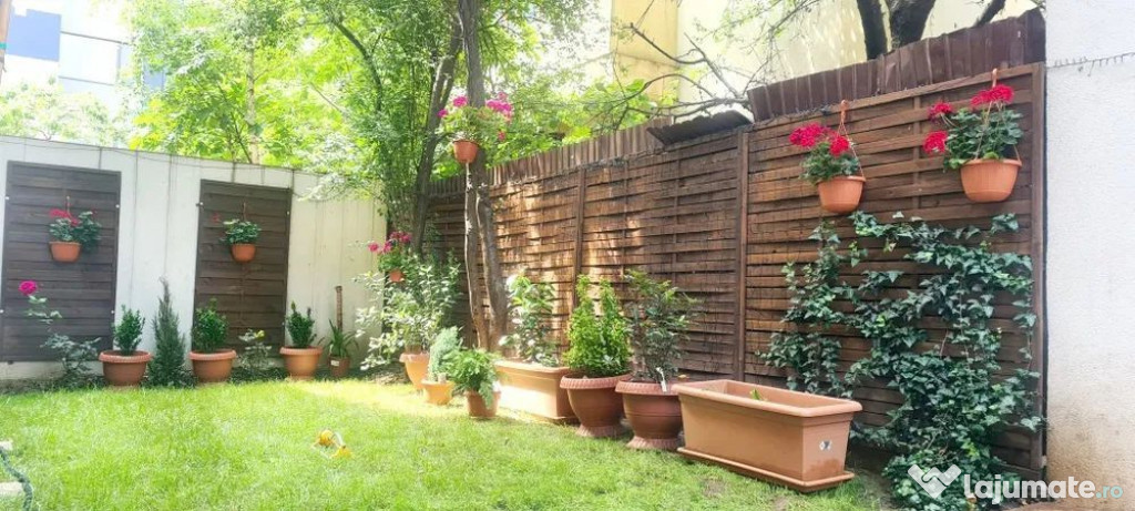 Gradina | 3 camere | Herastrau | Aviatiei | Pipera | Medi...