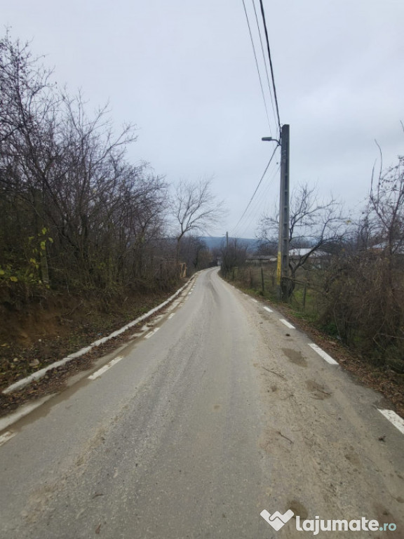 Pietrarie priveliste deasupra orasului LIBER DE SARCINI