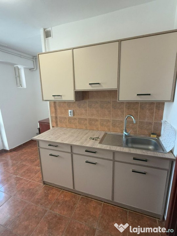 Închiriere apartament 1 cameră, etaj 2, Terezian