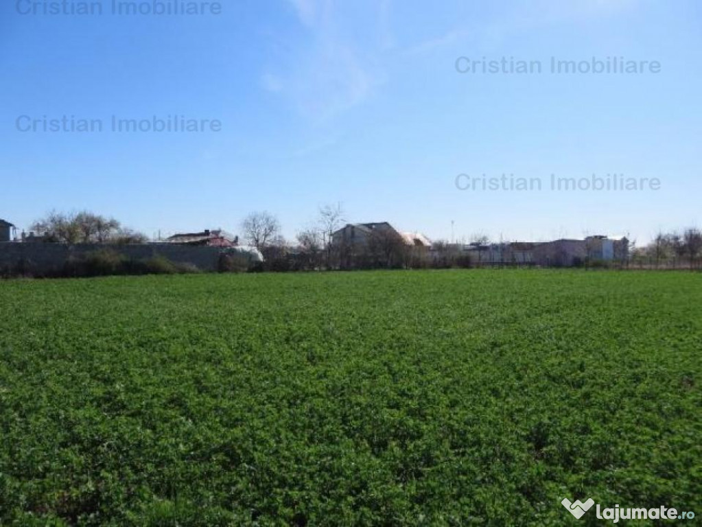 Teren constructii zona Lacu Sarat, suprafata 3393 mp, 22 eu
