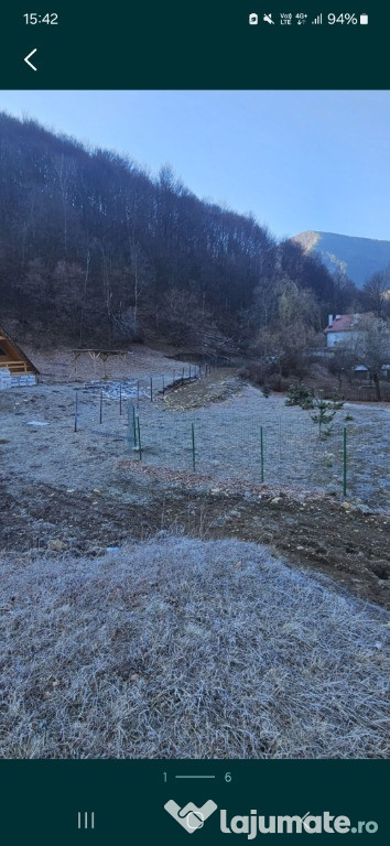 Teren Intravilan Lepșa Vrancea 800mp