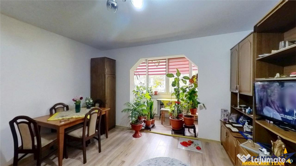 FILMTur 3D! Decomandat,ergonomic, apreciabila zonare,Dambu P