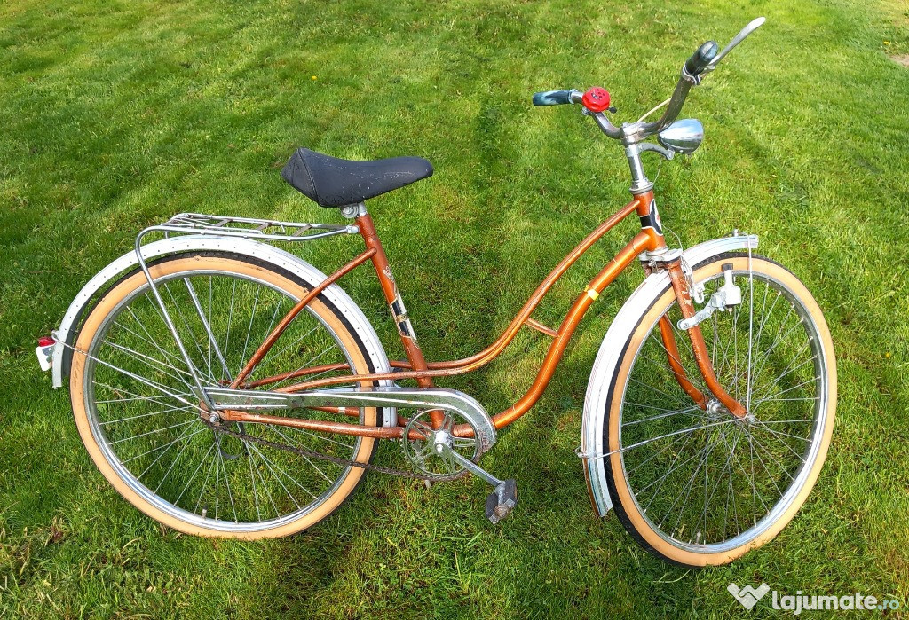 Bicicleta adulti