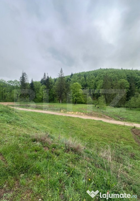 Oportunitate unică de investiție-teren intravilan 20.000 m