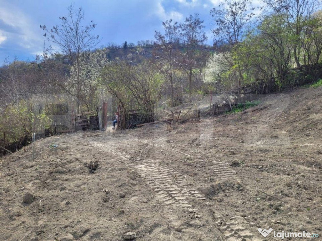 Teren 1000 mp, construibil imediat, in Liu, Grigorescu, zona