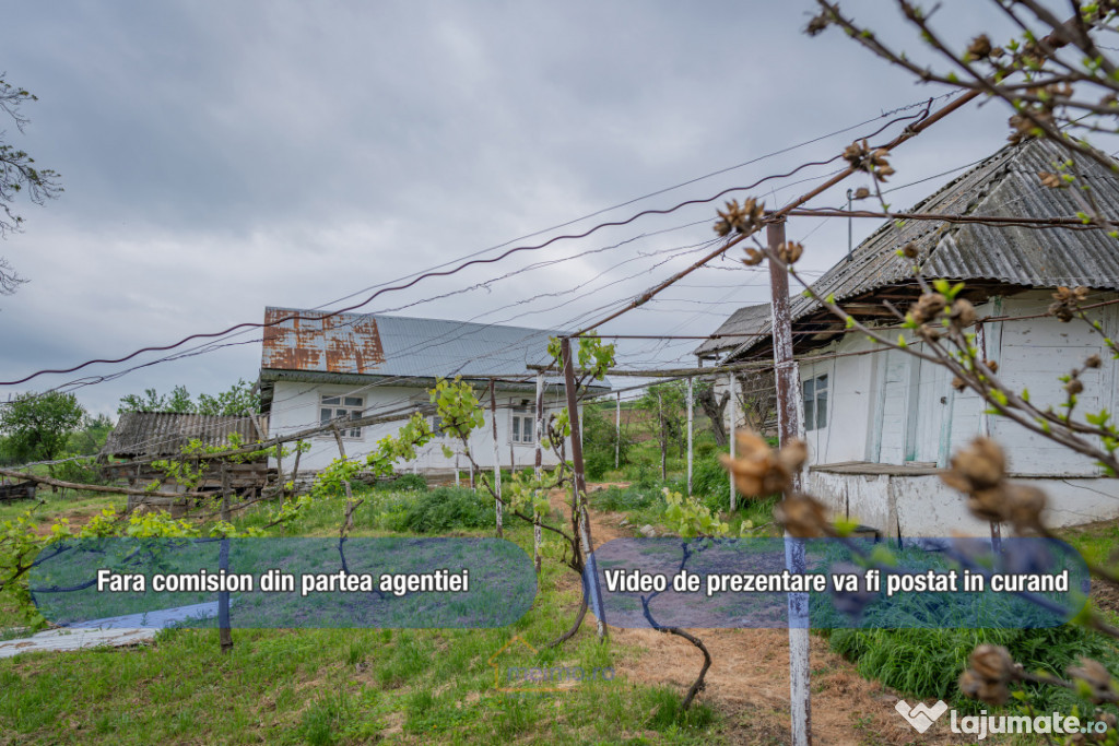 ???? Casă din chirpici, bucătărie de vară și 1.34 ha de
