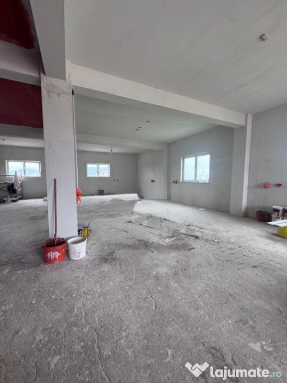Hala/spatiu comercial de inchiriat , 240mp utili, Vicovu de