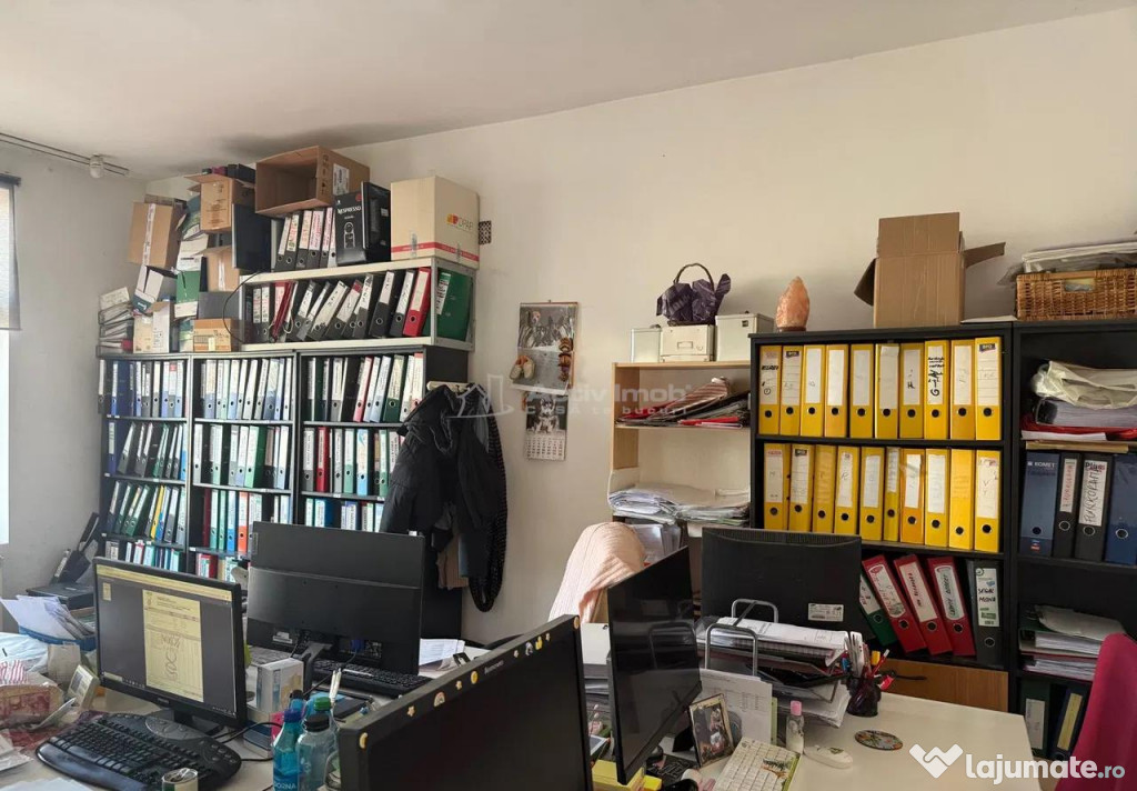2 Camere in Vila, Curte proprie, Domenii