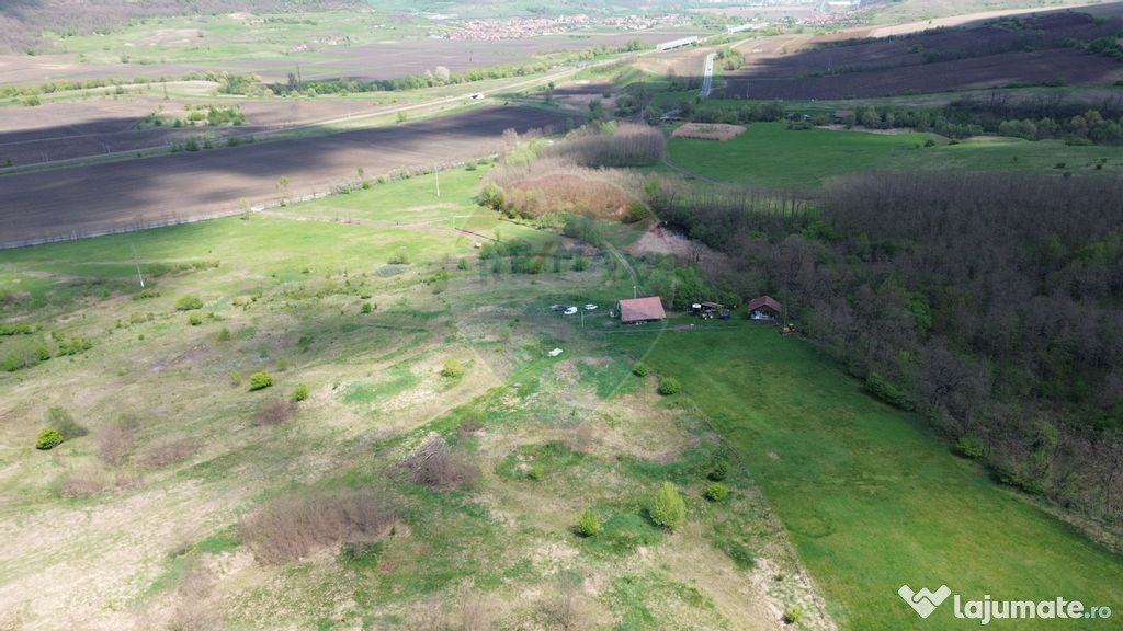 Teren deosebit - 66 Hectare Copsa Mica cu deschidere la DN14