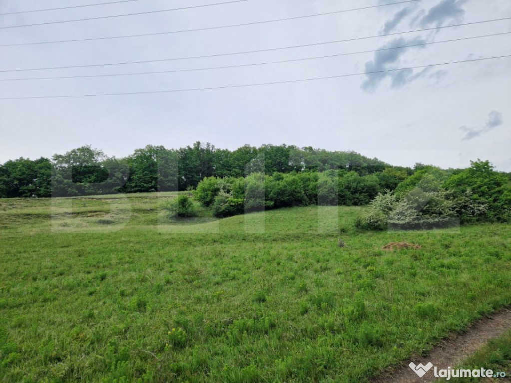 Teren extravilan de vânzare – 15.000 mp, zonă superbă,