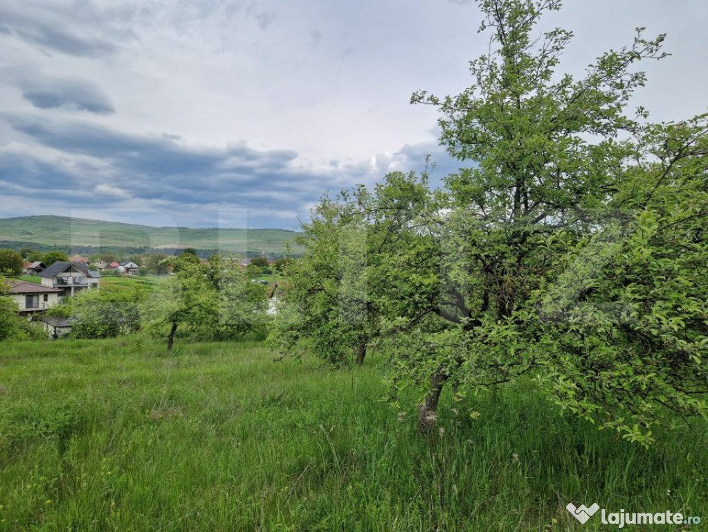 Teren extravilan de vânzare – 1500 mp, livada, ideal pent