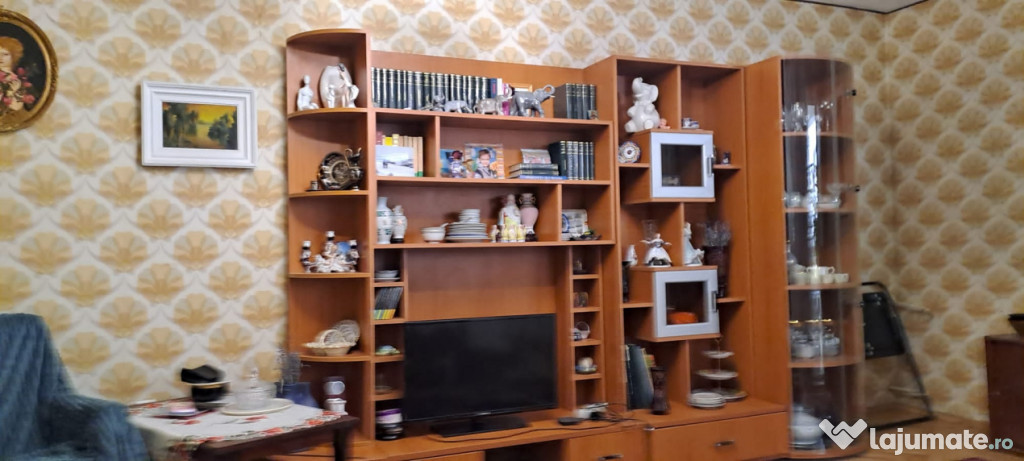 Vedere Dunare - Apartament 3 camere Calarasilor, mobilat uti