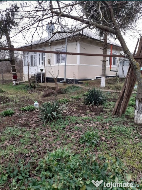 Vind casa Chetresti Vaslui