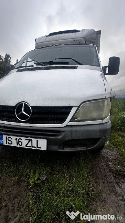 Mercedes Sprinter 313cdi