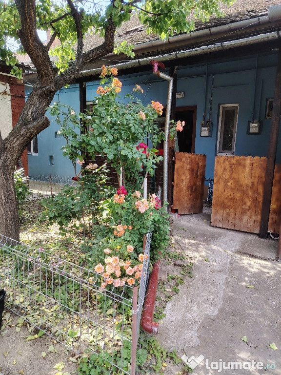 Proprietar vând Apartament Zona Sinaia