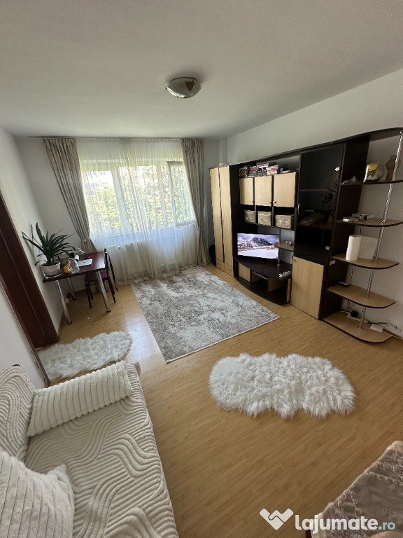 De inchiriat apartament cu 2 camere, Arhip Nicolae, Vest, Proprietar.