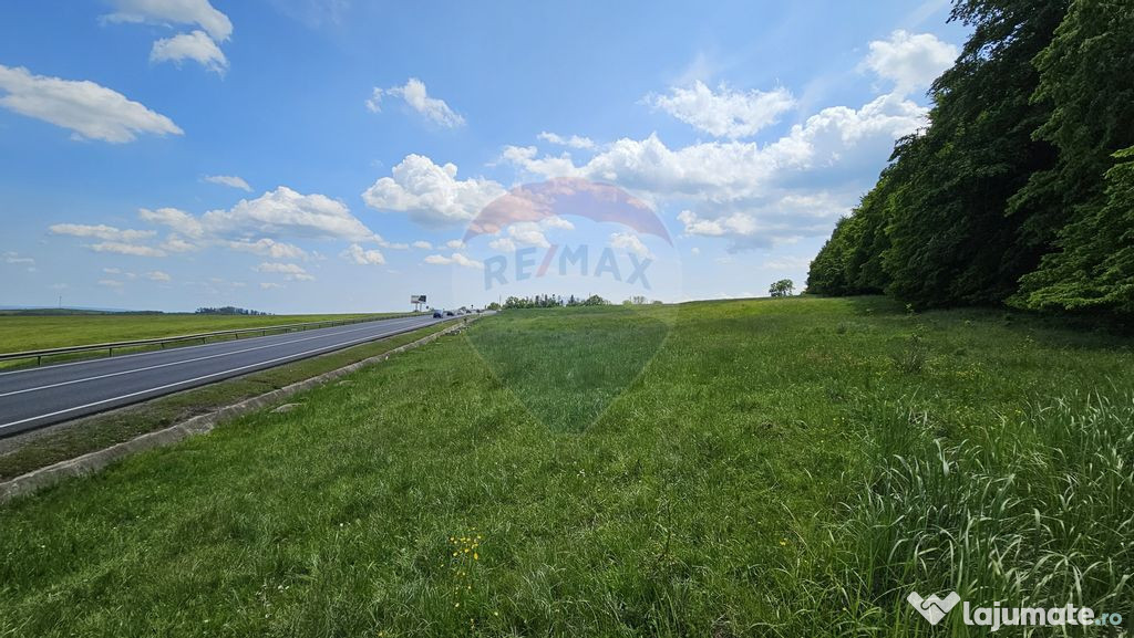 Teren Ilisesti 7000mp extravilan/ DN 17, Suceava