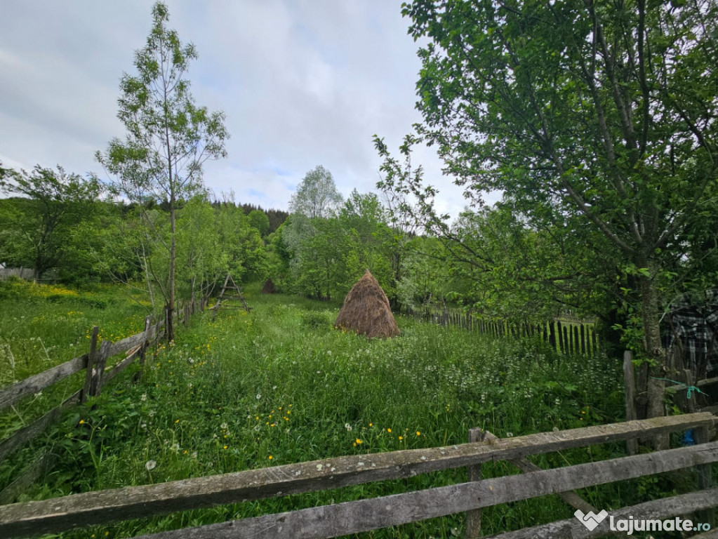 TEREN VANZARE VALEA DOFTANEI