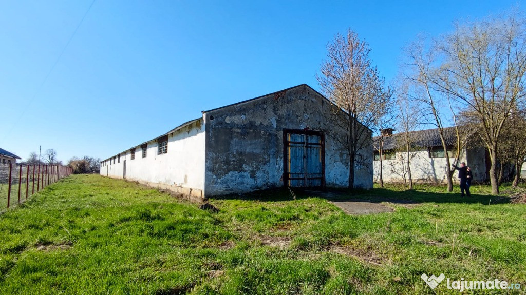Hală de cărămidă 793 mp / teren 1.999 mp