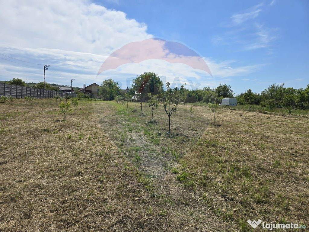 Teren 2,500mp Simnicu de Sus / Strada Craiovei