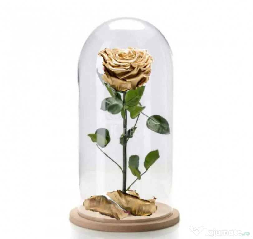 Floare criogenizata poleita cu aur