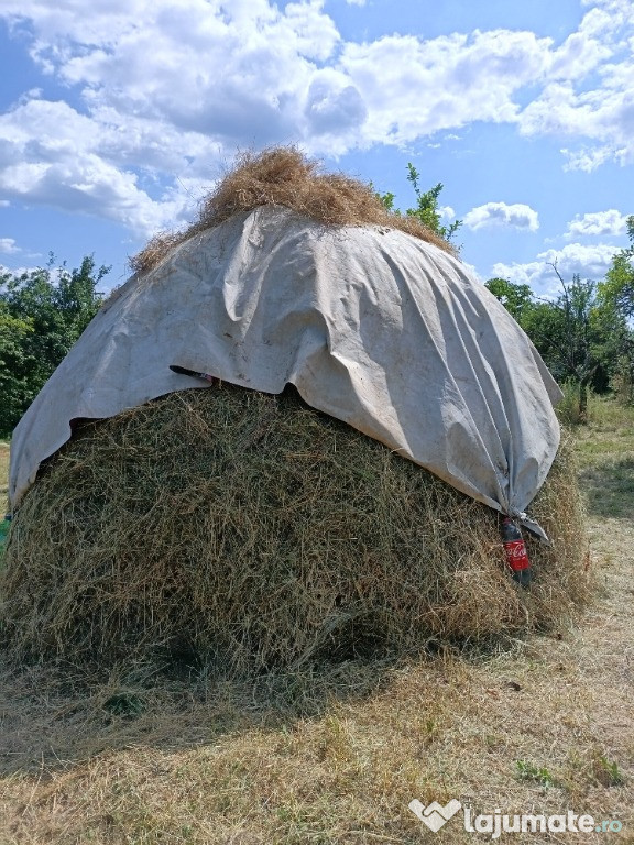 Claie fân se poate face baloți