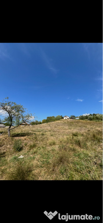 Teren intravilan Vulcana bai 1566m