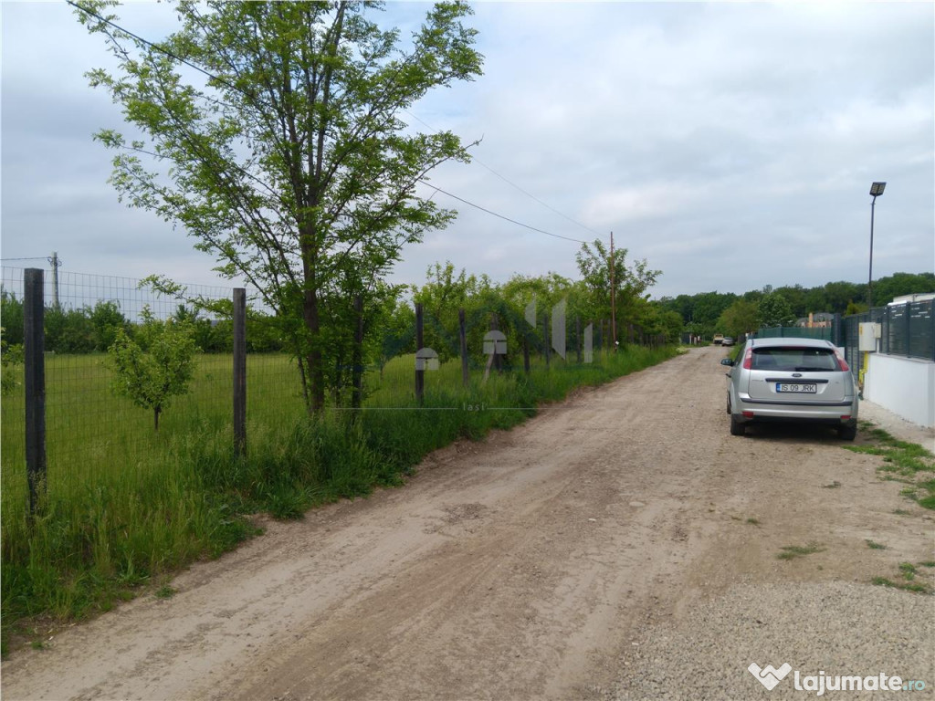 Valea Ursului aproape de padure 3LOTURI de 600mp cu utilitat