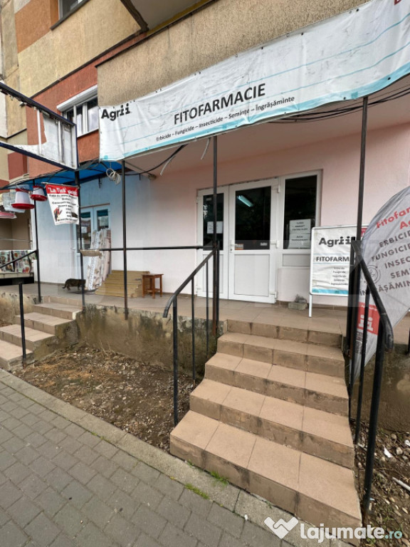 Spațiu comercial de inchiriat, 22 mp, zona Cetate