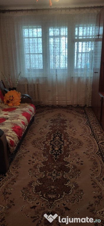 2 camere in zona Medicinei