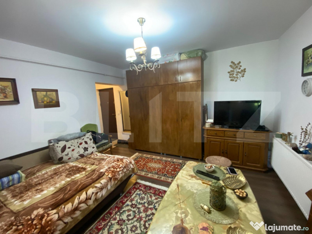 Apartament 1 cameră – Valea Lupului, zona Restaurant Biza