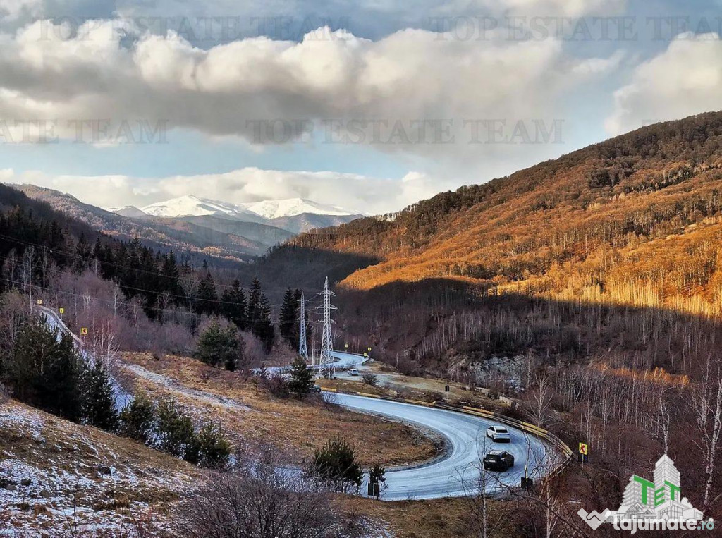 Teren de pe DN1 A / Prahova / Maneciu