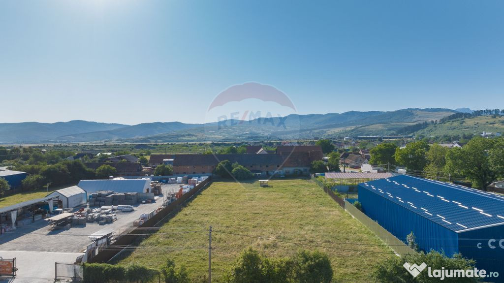 Teren 4,400mp Carpinis / DJ 112D