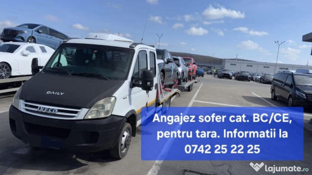 Angajez sofer categoria B+E C+E, zona Arges + Teleorman