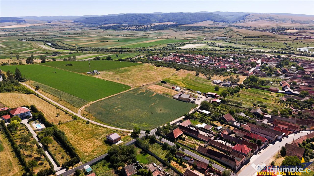 6 loturi casa Maierus,1.375mp,langa DN13, Doripesco,Brasov: