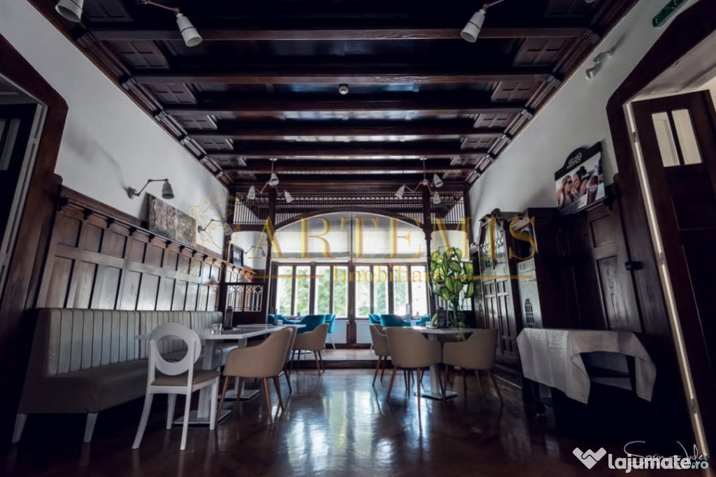 Spatiu comercial // Ultracentral