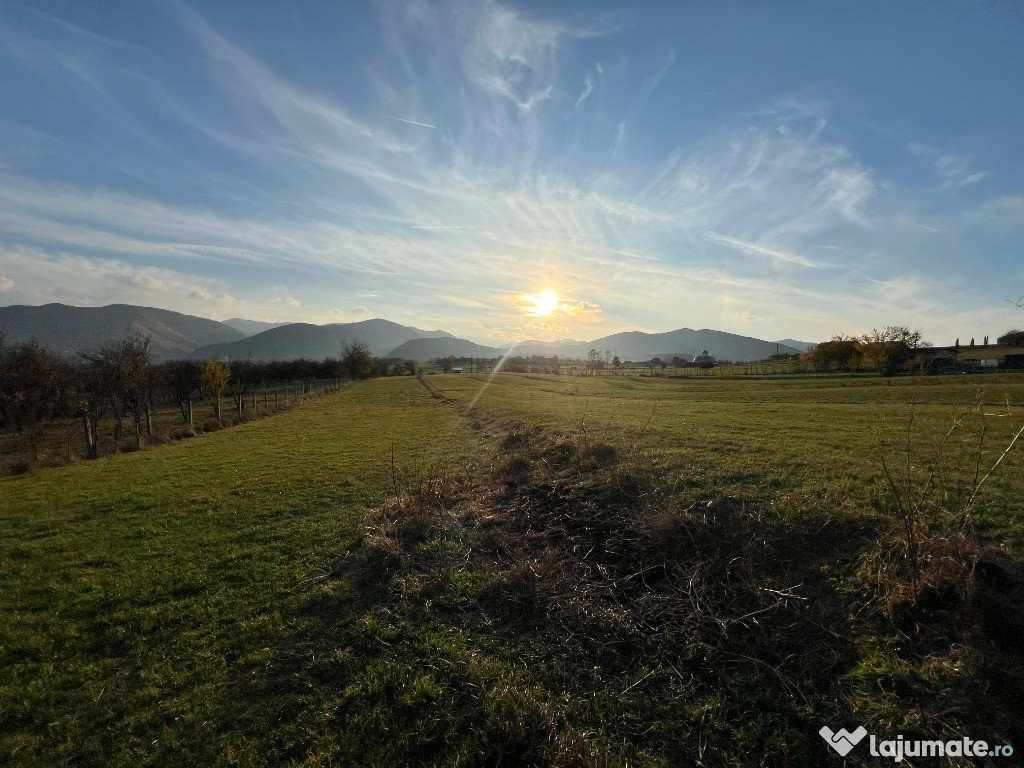 Teren de vânzare – ideal pentru cabană – Rășinari, jud. Sibiu (2000 mp