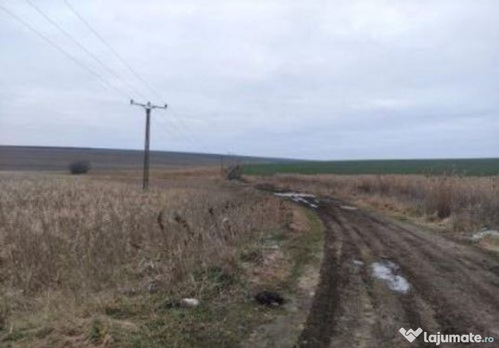 Teren extravilan cota parte 1/3, Rediu, ID: R2642185