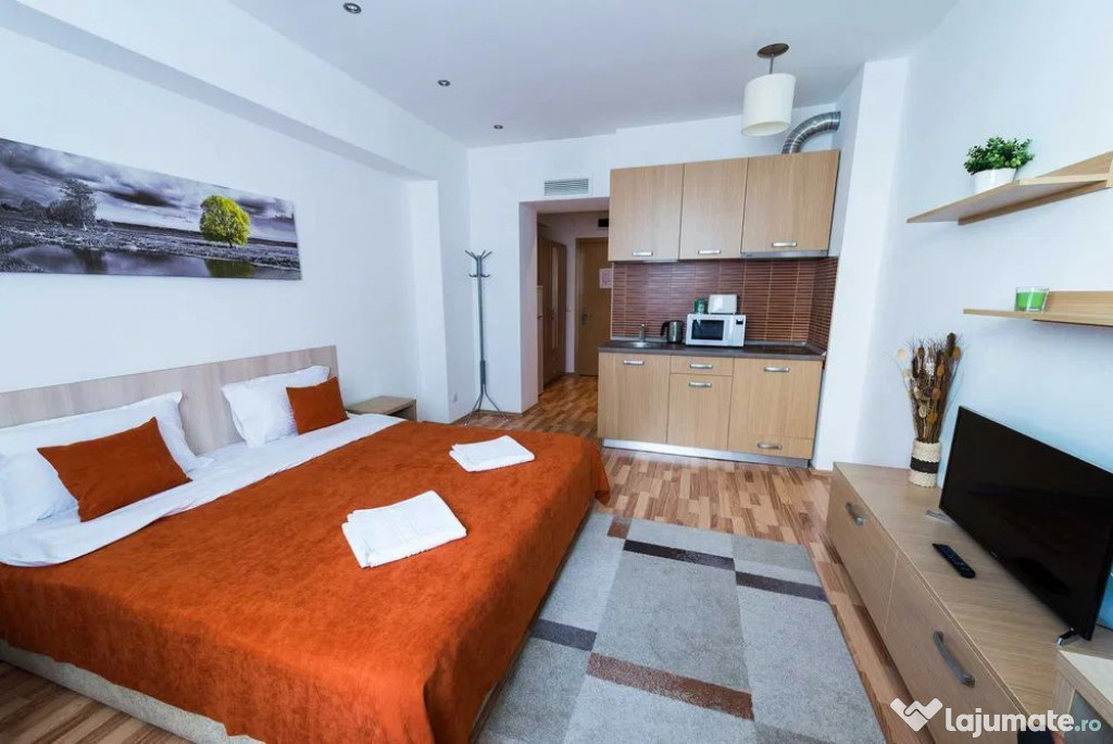 Garsoniera Rin Grand Hotel / Vitan , complet mobilata si ...
