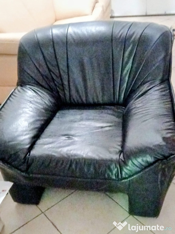 Fotoliu din piele