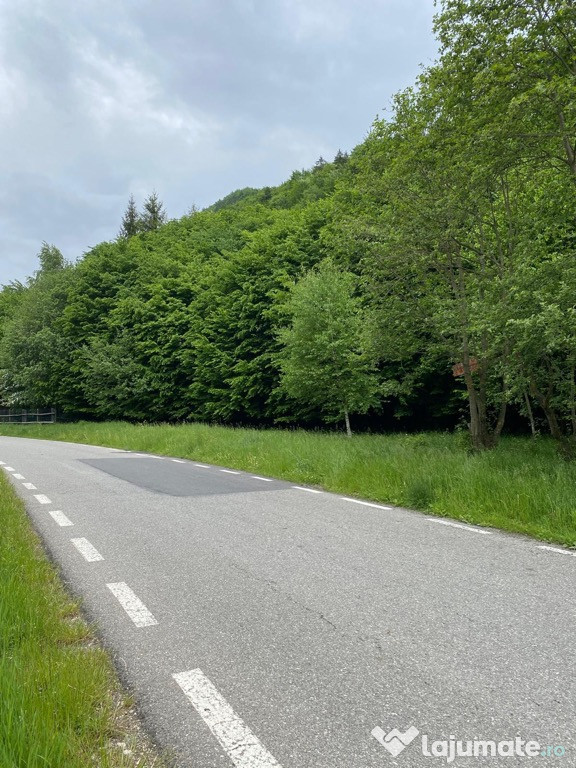 Teren intravilan de vănzare Zărnești Plaiul Foii peisaj deosebit